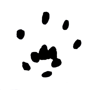 Gartenschläfer Trittsiegel Vorderpfote